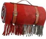 ABCCAMPING wasserdichte Picknickdecke, faltbar, Rot Cover