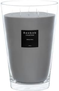 Baobab max24wr White Rhino Wax Candle, 24 x 20 x 20 cm