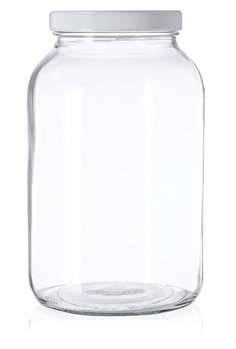 kitchentoolz 1 Gallon Glass Wide Mouth Airtight Lids Mason Jar SCOBY Hotel Home Brewing and Fermenting Kit with Cotton Cloth Filter, Rubber Band