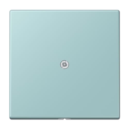 Plaque centrale sortie câble JUNG LC32033 pour cacher les fils - 2