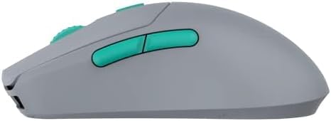 Amazon | G-WOLVES HTS Plus (HTS+) 4K Wireless Gaming Mouse 4000Hz 
