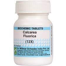 Dr. Willmar Schwabe India Calcarea Fluorica Tablet 12X -20GM (Pack of 2) (B0CSYK3L8J) Amazon Price History, Amazon Price Tracker