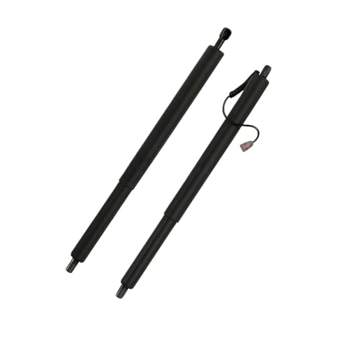 Support Hayon Électrique Fluide et Silencieux pour S-MAX 15-18