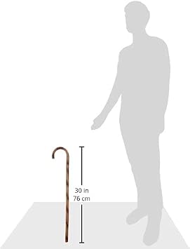 100th Day of School Old Man's Walking Cane - 26 (1 Pc.) - Unique Design - Lightweight & Durable Material - Perfect for Kids & Festivities