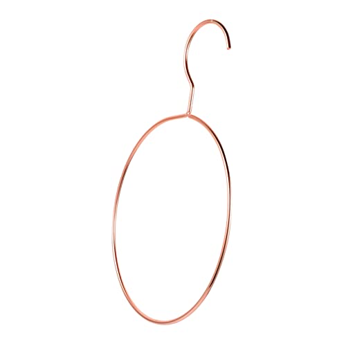 DECHOUS Fashionable Scarf and Tie Storage Rack Stainless Steel Hanger for Home Organization Space Saving Design for Belts and Accessories Finish