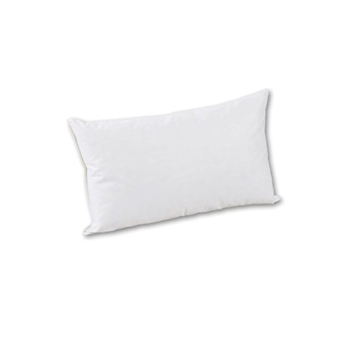 Coussin de canapé 60x80 cm garnissage naturel plumes 800g