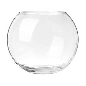 Crystal Clear Glass Fish or Terrarium Round Bowl W/C (10 inch)