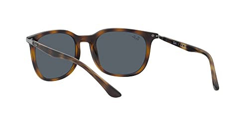 Image of Ray-Ban RB4386 Square Sunglasses