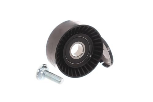 Skf Vkm 61053 Galoppino Guidacinghia Cinghia Poly-V Galoppino Cuscinetto Cinghia Servizi Galoppino Cinghia - 2