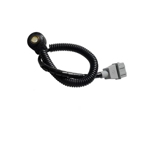 Capteur de cliquetis 392503E110 pour Hyundai Santa Fe