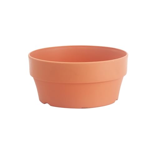 Maceta de terracota artificial para suculentas maceta con agujeros, contenedor, jardín interior, maceta de bonsái, maceta de 25 cm de diámetro de plástico (marrón, talla única)