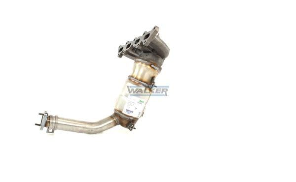Walker 28325 Catalizzatore e Componenti