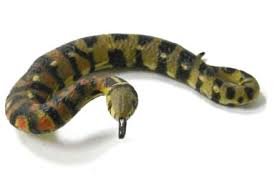 イチゴヤドクガエル（コスタリカ） シークレット チョコQ チョコQ動物奇想天外