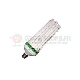 Ampoule CFL 8U 300W - 6400°K - Croissance - E40 - Superplant