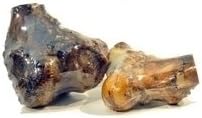 Knuckle Bone for Dogs