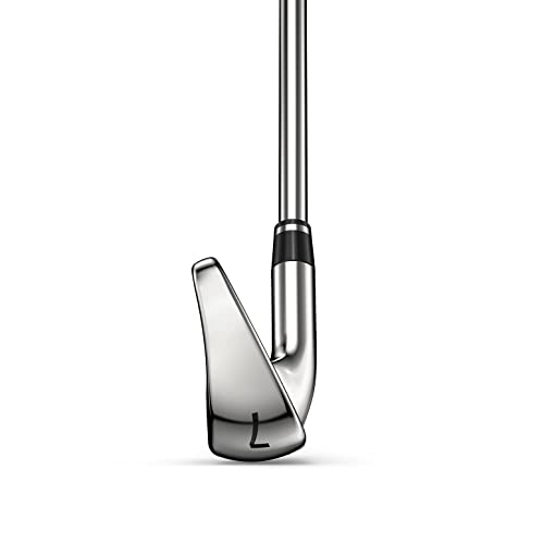 Wilson-Staff-Palo-de-golf-D9-Hierro-4-Varilla-de-acero