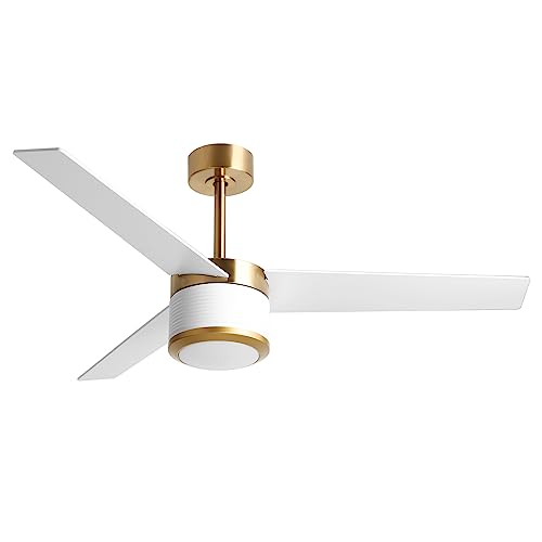 reiga 132cm Ventilador de Techo de Interior de 3 Palas de Madera con Mando a Distancia, Moderno Motor de CC con Kit de Luz LED Regulable