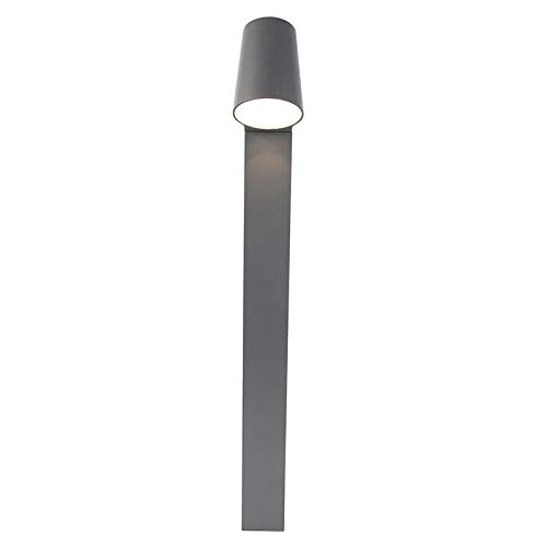 Qazqa Moderno Lámpara de pie para exterior antracita con LED - UMA Aluminio/Vidrio Alargada Incluye LED Max. 1 x 6 Watt