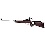Beeman, SAG CO2 Air Rifle.22 Caliber with Thumbhole Stock