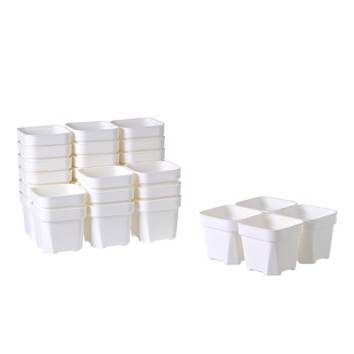 BangQiao 30 Pack 4.15 Inch White Plastic Square Nursery Seedlings Pot for Succulent, Cutting, Transplanting