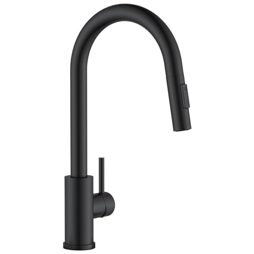 Amazon.co.jp: APPASO: キッチン水栓