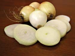 Onion Copra 1,000 Seeds