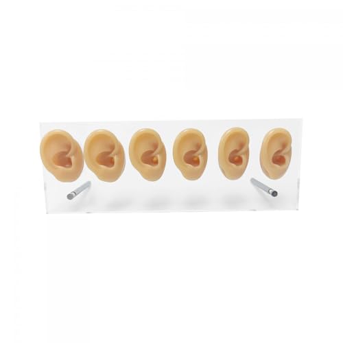 Présentoir à bijoux en silicone et acrylique - Set de 6 pièces pour rangement d'oreilles