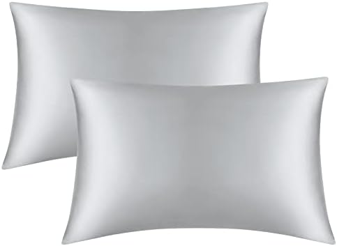 Satin Pillowcase for Hair and Skin, Set of 2 Silver Grey Silk Pillowcase Queen Satin Pillowcase with Envelope Closure(Silver Grey,20x30 inches)