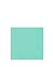 Amscan Robin Egg Blue Teal Beverage Napkins 50/pkg 2-ply