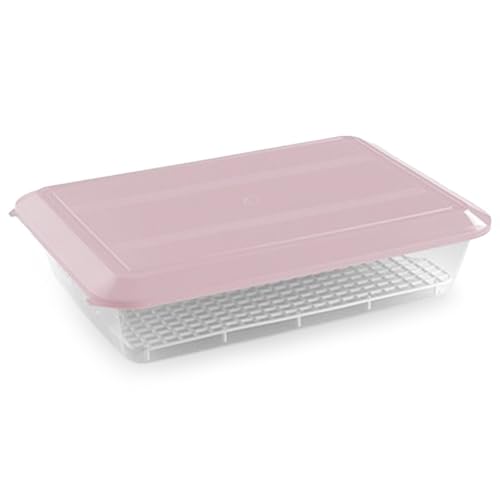 ANTIHUMEDADES Bandeja para descongelar alimentos con rejilla 4,2l (Tapa Rosa) - Hostelería, restaurantes, cocinas, pescaderías, comedores... Sin BPAs