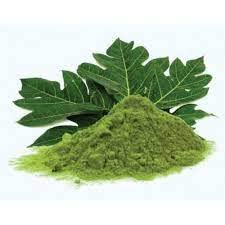 Image of SS520 Organic Papaya Leaf Powder for Face Skin 200 Gram