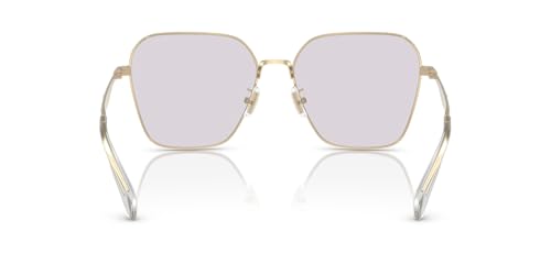 COACH Women's Hc7168 Metal C Hardware Butterfly Sunglasses4