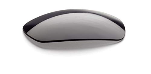 Smith Elite Pivlock Echo Eyeshield Replacement Lens - SMITH