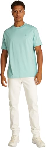 Calvin Klein Herren T-Shirt Kurzarm Painted Tee mit Rundhalsausschnitt, Blau (Fresh Mint), XXS – Ansicht 8