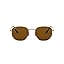 Gold/Polarized B-15 Brown