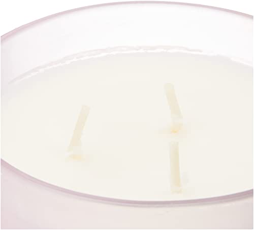 Chesapeake Bay Candle Scented Candle, Joy + Laughter (Cranberry Dahlia), Coffee Table, Orange,Pink,Red #TOP2