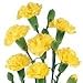 50 YELLOW CARNATION Caryophyllus Grenadin Flower Seeds *Comb S/H