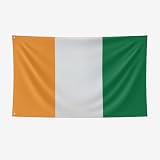 Nacilerto Ivory Coast Flag 3x5FT,Vivid Colors,Double Stitched,Sturdy 100D Polyester,Ivorian Flags with 2 Brass Grommets for Indoor Outdoor. (Cote d'Ivoire, 3x5FT)