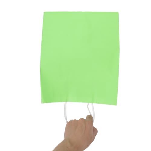 SHINYPASING 12���胉�C�g�O���[���̎��� ������t���֗��ȃp�[�e�B�[�p�L�����f�B�[�o�b�O ����27cm×��21cm×����14cm�̌����v�Ȏ����V���b�s���O�o�b�O