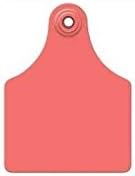 Maxi GLBL TAG RED BLNK 25'S image 5