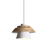 💡 [Scénarios applicables] Le design à la mode peut s'adapter à différents styles de décoration, très approprié pour la famille, le salon, le chevet, la salle à manger, la salle à manger, le couloir, la cuisine, le bureau, le studio, le restaurant, l'hôtel, la bibliothèque, le KTV, la salle de réunion, l'attente Lumières dans les salles d'exposition, les fenêtres, etc.