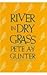 River in Dry Grass