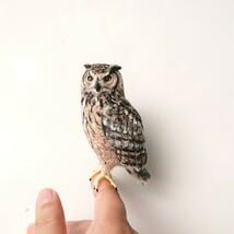 Amazon | 羊毛フェルト鳥 ベンガルワシミミズク フクロウ ハンドメイド