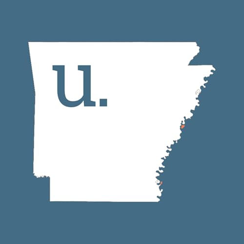 『the underview.』のカバーアート