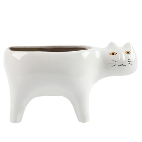Cactus succulent pour le bureau pot de bonsaï chat en céramique robuste - 2