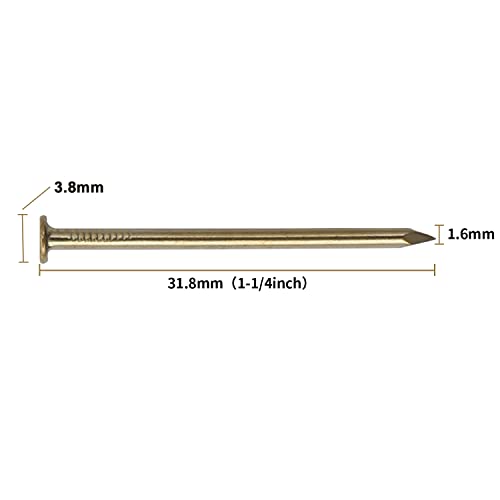 Image of JEGONFRI 450PCS 1-1 /4 inch x 16Ga Brass Plated Nails for Hanging Pictures | Rustproof Carbon Steel, Flat Head, Shiny Gold Finish, Versatile Woodworking, Smooth Surface, Long-Lasting Supply