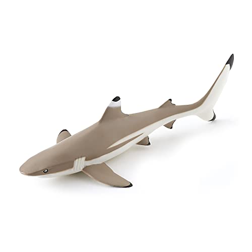 Papo - Statuetta Squalo Pinne Nere Realistica - 3 Anni + - Collezione Universo Marino - Gioco Educativo Predatore Marino - Idea Regalo Giocattolo Bambina Bambino