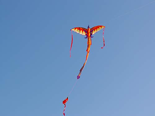 ZHUOYUE Dragon Kite for Kids 40x75 Inch,Easy Fly Kite Single Line Kites with Long Tail and Kite String