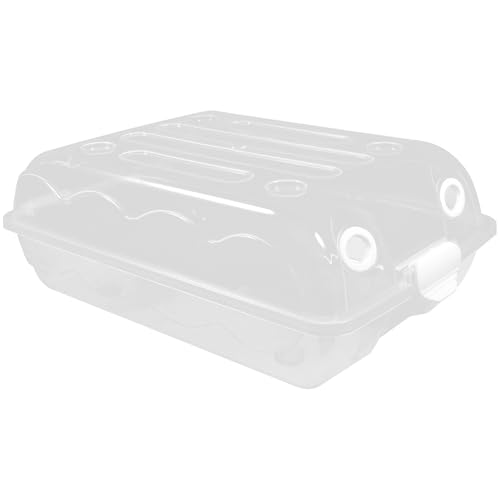 Lurrose Caja Organizadora de Zapatos Transparente de Plástico, Apilable, Tamaño 31.5x21x11 Cm, para Almacenamiento en Hogar y Dormitorio, Caja Contenedora para Guardar Zapatillas y