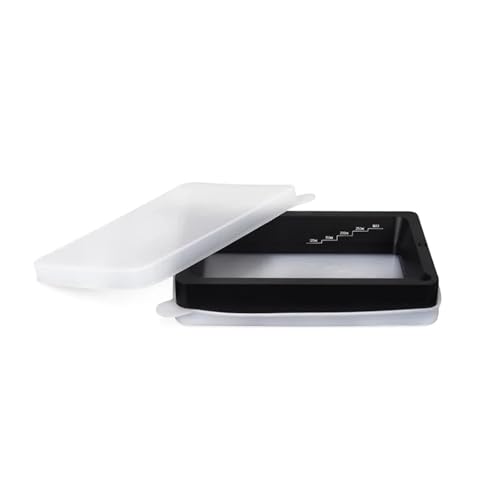 Resina para impresora 3D APAAZO con doble cubierta de silicona - Compatible con ELEGOO Mars/C/Pro/2 Pro, Photon S/Mono y QIDI Tech (Incluye cubierta - Fernando Cortés